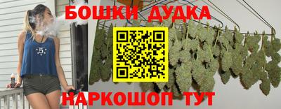гидра Дубна