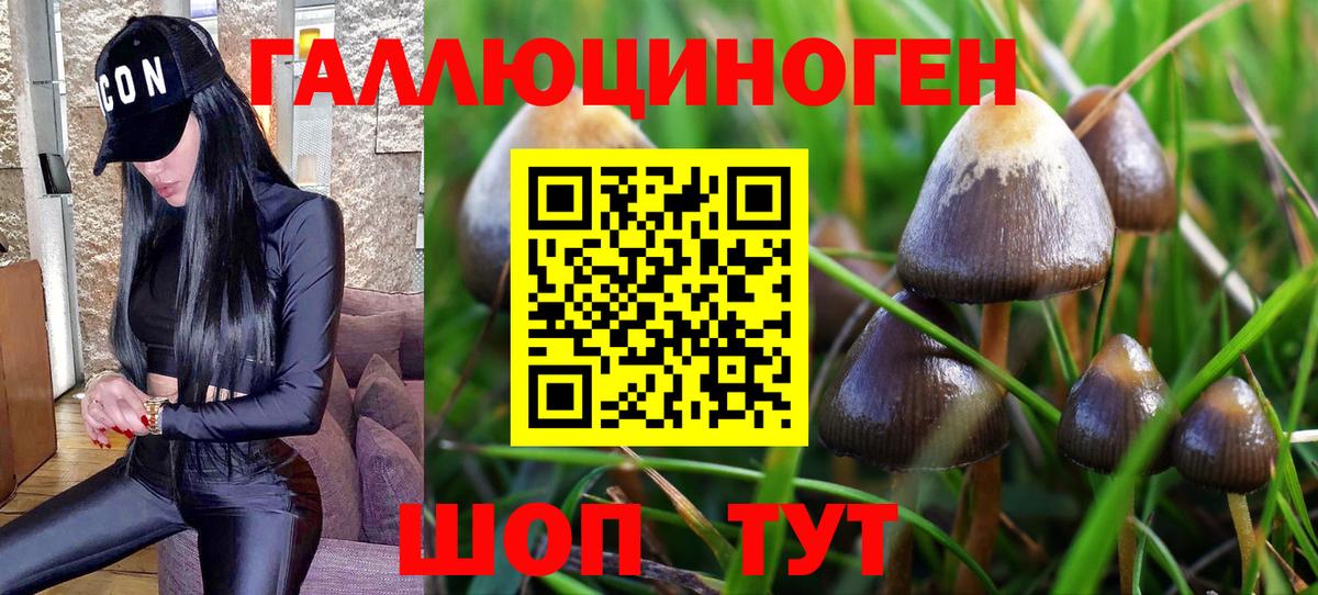 Псилоцибиновые грибы Psilocybine cubensis  Вход с VPN  Псилоцибиновые грибы Psilocybe  Магнитогорск 
